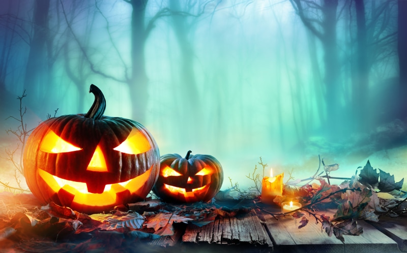 land, holidays, 4k, hd, food and drink, plant, anthropomorphic, celebrations, 8k, pumpkin, anthropomorphic face, nature, illuminated, fire, jack o lantern