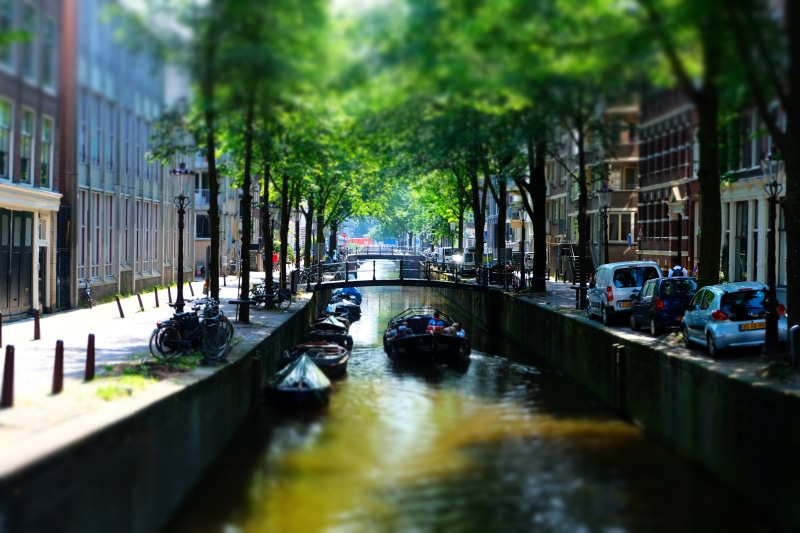 plant, architecture, motor vehicle, nature, car, tree, outdoors, day, water, nautical vessel, built structure, Amsterdam, transportation, selective focus