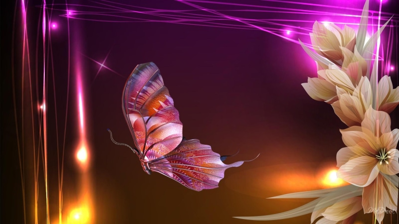 pink, bright, 1080P, flowers, magical, 3d and abstract, firefox persona, light, magic, butterfly, orange