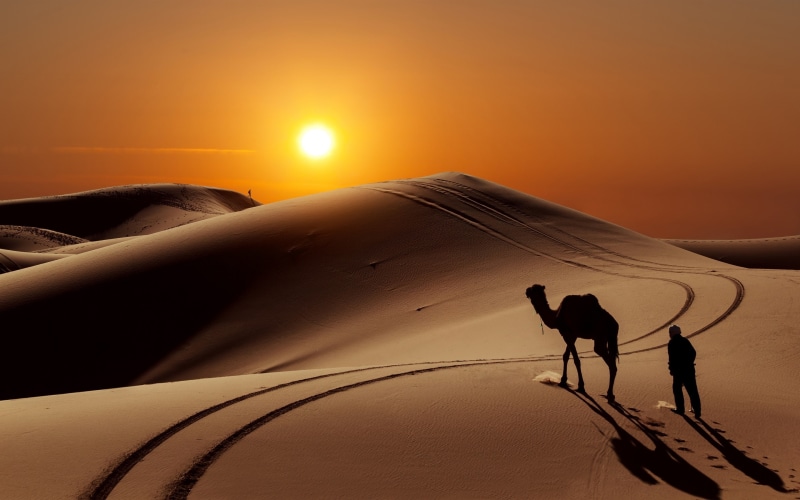 person, desert, silhouette, sunset, sand, 2K, camel, landscape