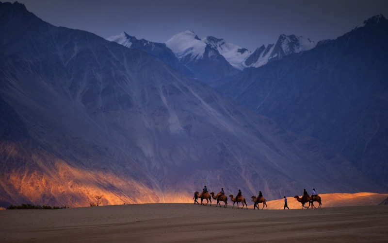 mountain, riding, nature, camel, animal themes, mountain range, domestic, rock, mountains, animal wildlife, camels, working animal, sky, animal, people