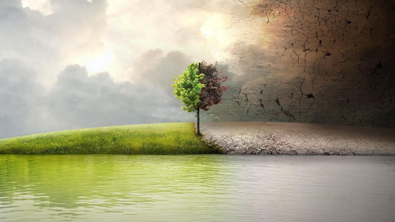 clouds, spiritual, 1080P, opposite, lake, change, life, tree