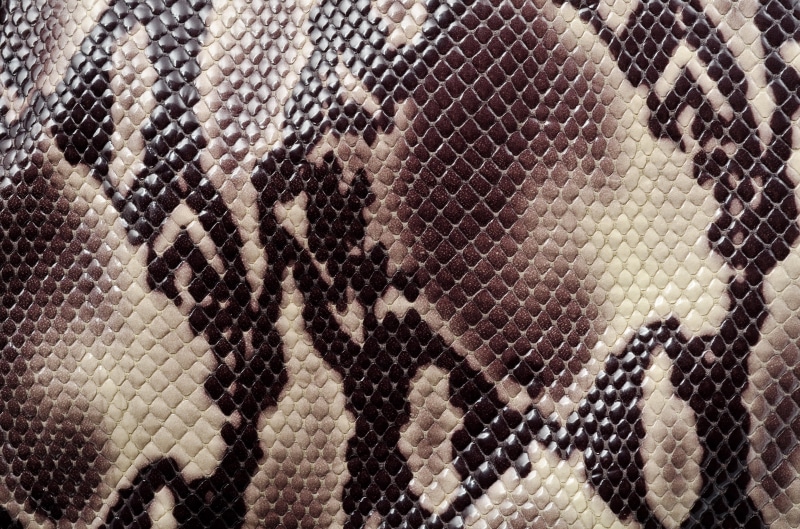 backgrounds, textured, design, indoors, day, full frame, animal themes, black, pattern, 4K, clothing, white color, wildlife, snake, focus on foreground