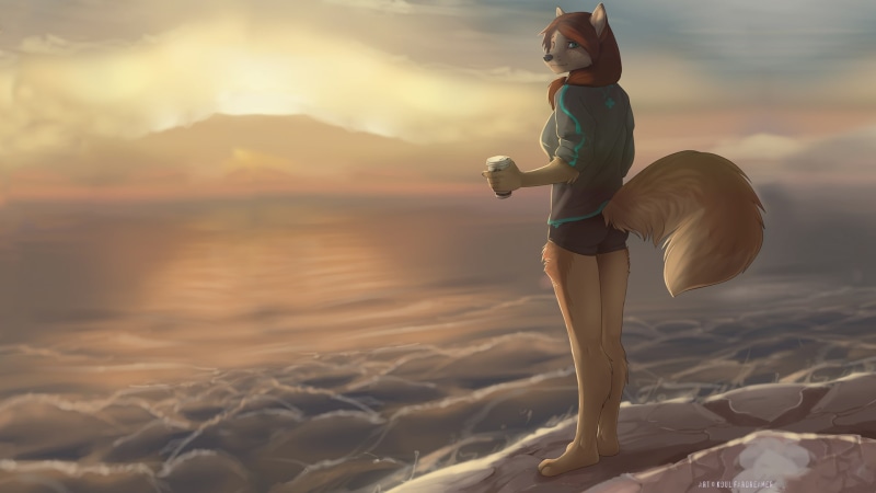sea, adult, sunset, outdoors, furry, 1080P, beach, Anthro, scenics - nature, water, young women, full length, young adult, lifestyles, nature, sky, one person
