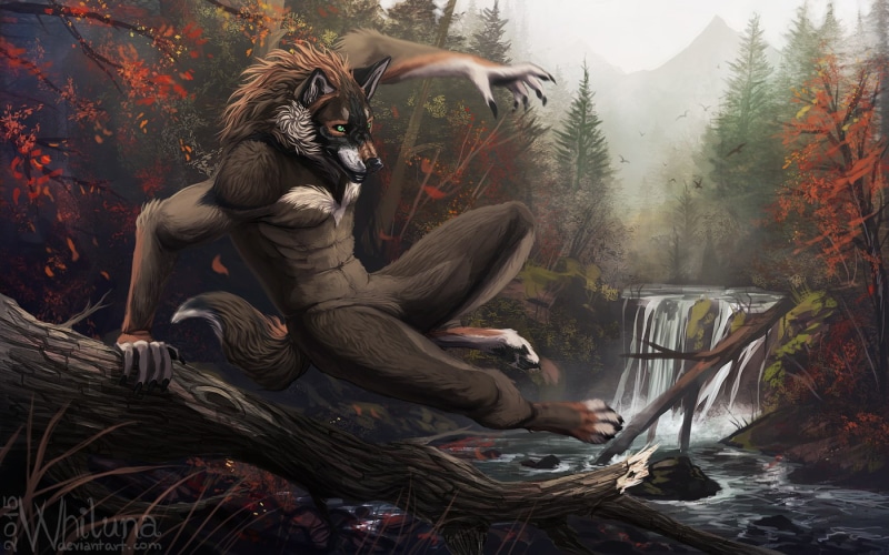 Anthro, furry, 720P