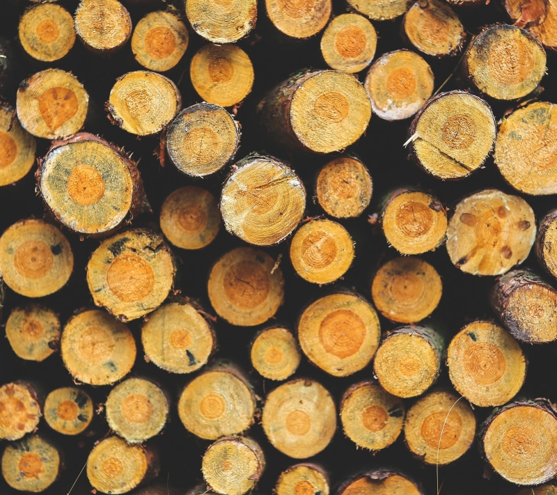 pattern, 2K, tree trunk