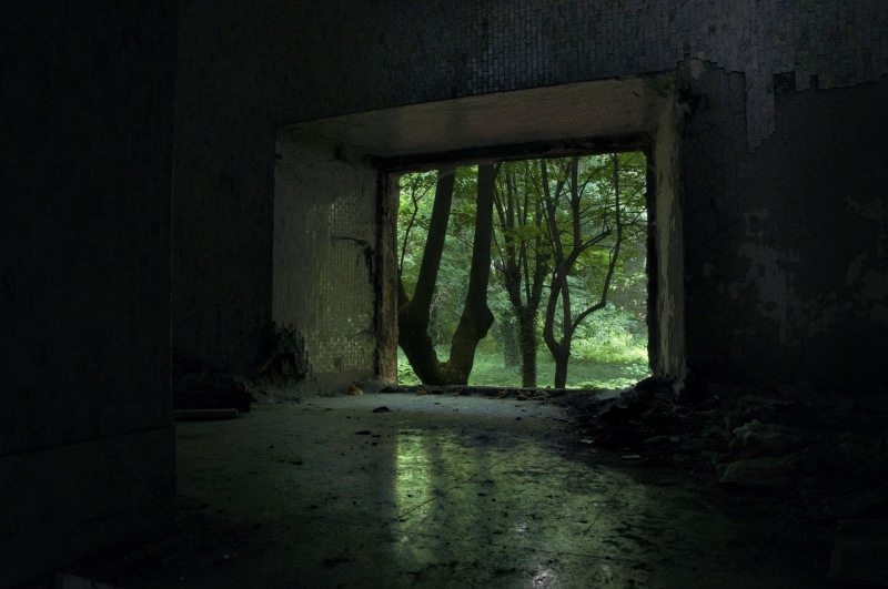 trunks, entrance, architectural column, dark, building, nature, door, deterioration, day, architecture, photo, window, 1080P, abandoned, indoors, no people