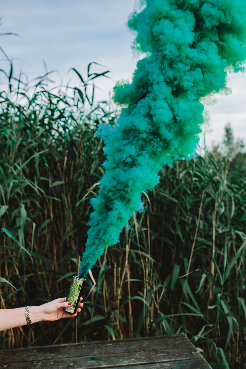 holding, body part, smoke bomb, plant, water, smoke, lifestyles, day, one person, green, hand, green color, tree, bomb, 4K, sky, human body part, growth