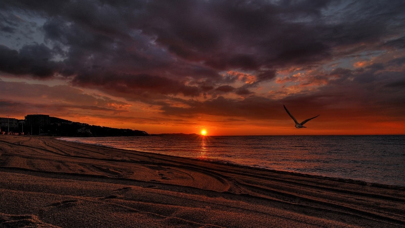 scenics - nature, 1080P, tranquility, beauty in nature, sea, outdoors, sunset, land, dramatic sky, reflection, horizon, nature, no people, cloud - sky