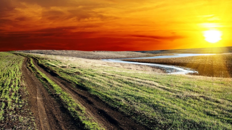 orange color, tranquility, sky, nature, agriculture, scenics - nature, 1080P, no people, grass, beauty in nature, full h-d  of nature 1920x1080, plant