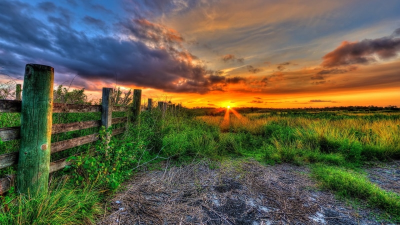 orange color, sun, no people, environment, cloud - sky, full h-d  of nature 1920x1080, sky, scenics - nature, 1080P, tranquil scene, landscape, sunset