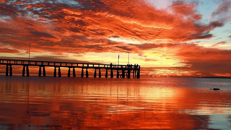 1080P, full h-d  of nature 1920x1080