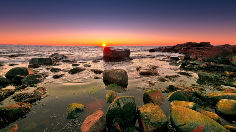 1080P, full h-d  of nature 1920x1080