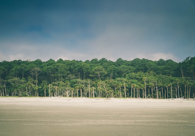 outdoors, growth, nature, sky, lost, green color, environment, beautiful, island, tranquil scene, 4K, landscape, beauty in nature, scenics - nature, tree