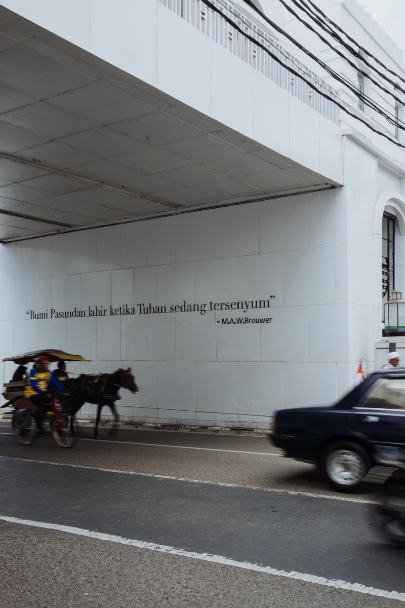 bandung, mammal, mode of transportation, animal themes, domestic animals, one animal, street, livestock, city, indonesia, people, transportation, land vehicle