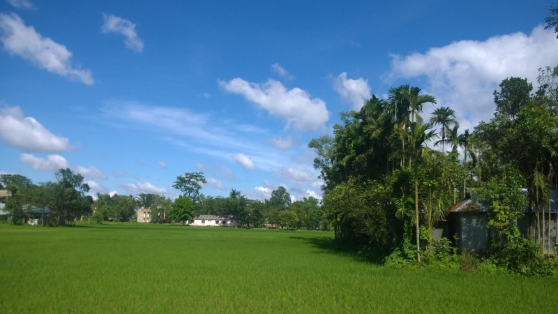 tranquility, nature, cloud - sky, bangladesh, beauty in nature, sky, green color, day, non-urban scene, rural scene, outdoors, purbodhala, grass, tranquil scene