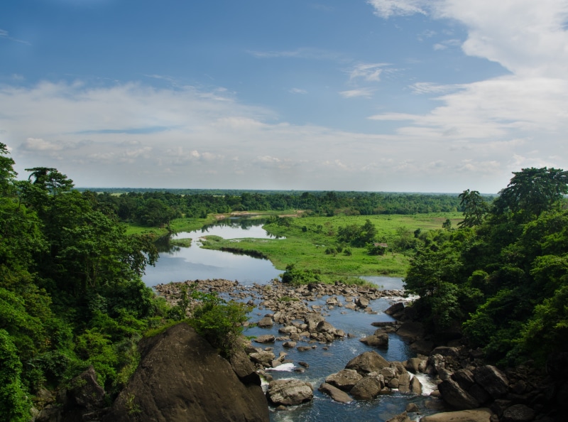 green color, outdoors, trees, cloud - sky, rock, beauty in nature, flowing, meghalaya, water, nature, india, non-urban scene, no people, scenics - nature