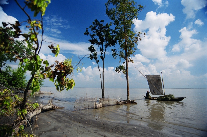 tree, horizon, boat, no people, sea, growth, horizon over water, beauty in nature, land, tranquil scene, nature, scenics - nature, beach, river, sky, cloud - sky