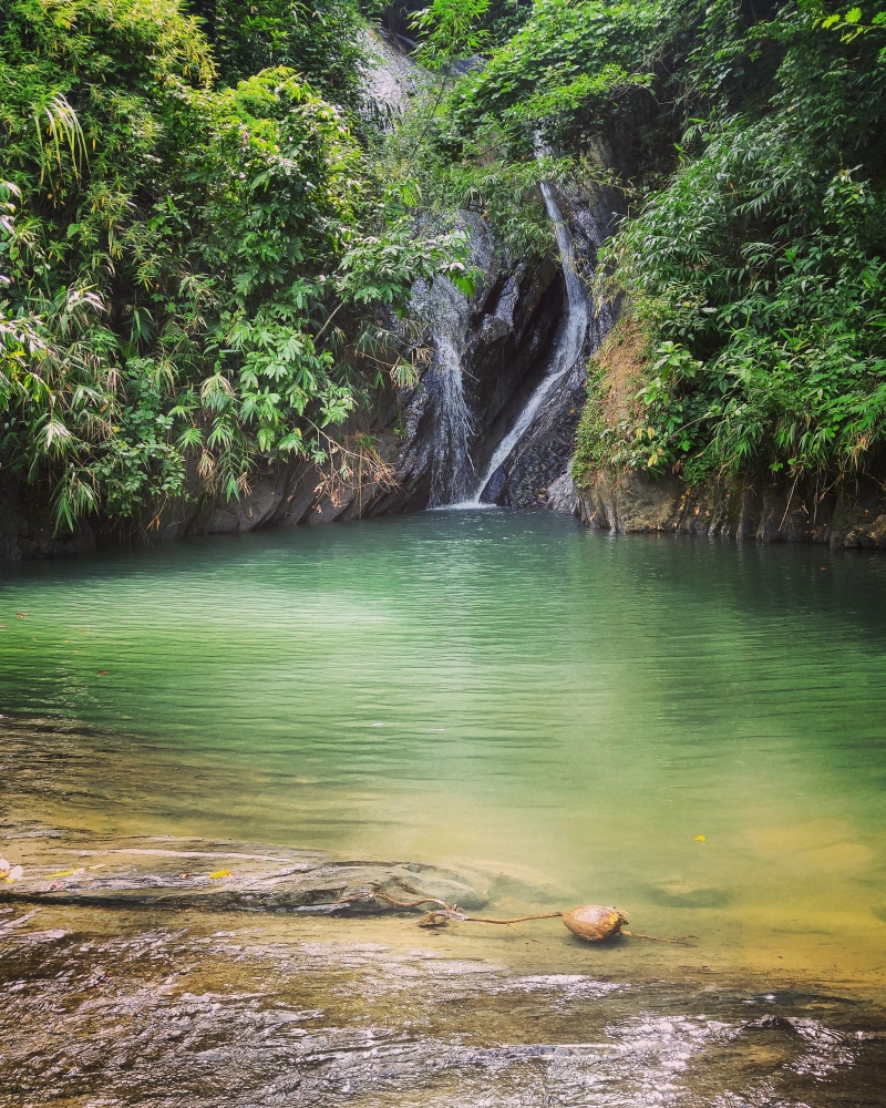 beauty in nature, water, rock formation, jungle, rock, motion, river, 2K, tree, no people, power in nature, solid, non-urban scene, flowing, scenics - nature