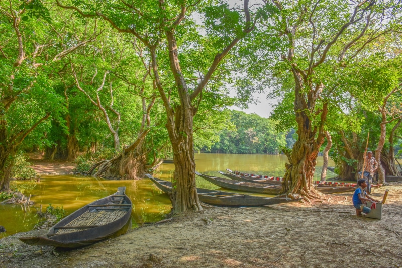 scenics - nature, boat, day, transportation, autumn, sunset, tour, people, forest, adventure, vacation, leisure activity, scenic, boatman, village, tranquility