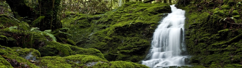 water, beauty in nature, nature, 4K, landscape nature dual screen, land, waterfall, foliage, plant, pollution, tree, power in nature, long exposure, flowing