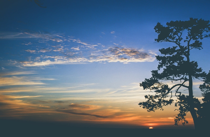 outdoor, growth, landscape, dramatic sky, cloud, dramatic, sunset landscape, scenic, sunlight, tree, light, sunset, evening, cloud - sky, tranquil scene