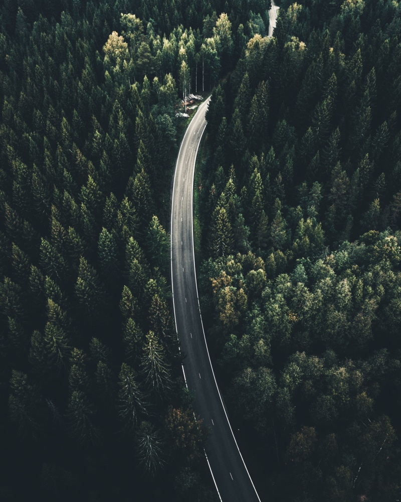 drone, green forest, outdoors, landscape, asphalt, moody, scenics, journey, tree, 2K, forest, no People, turn, traffic, speed, green Color, road, sky