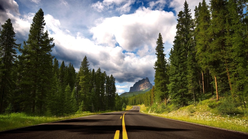 forest, clouds, pine cones, road, Canada, pine trees, 1080P, landscape, nature, trees
