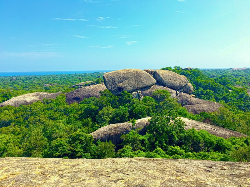 trees, nature, 4K, rock, forest, Sri Lanka, photography