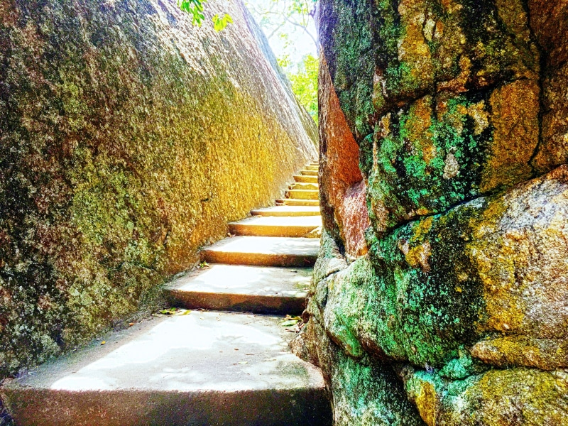 sea, rock stairs, Sri Lanka, trees, 4K, photography, nature, road
