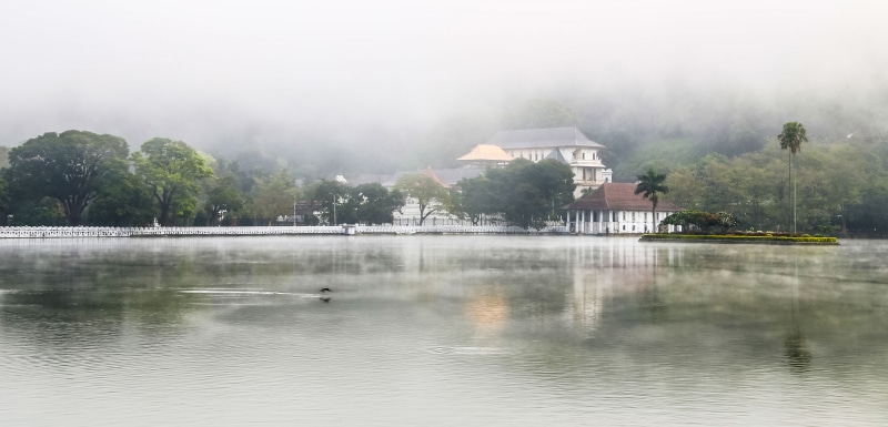 buddhist, day, reflection, kandy, sri lanka, temple, scenics - nature, plant, fog, maligawa, tranquil scene, building exterior, ceylon, water, no people