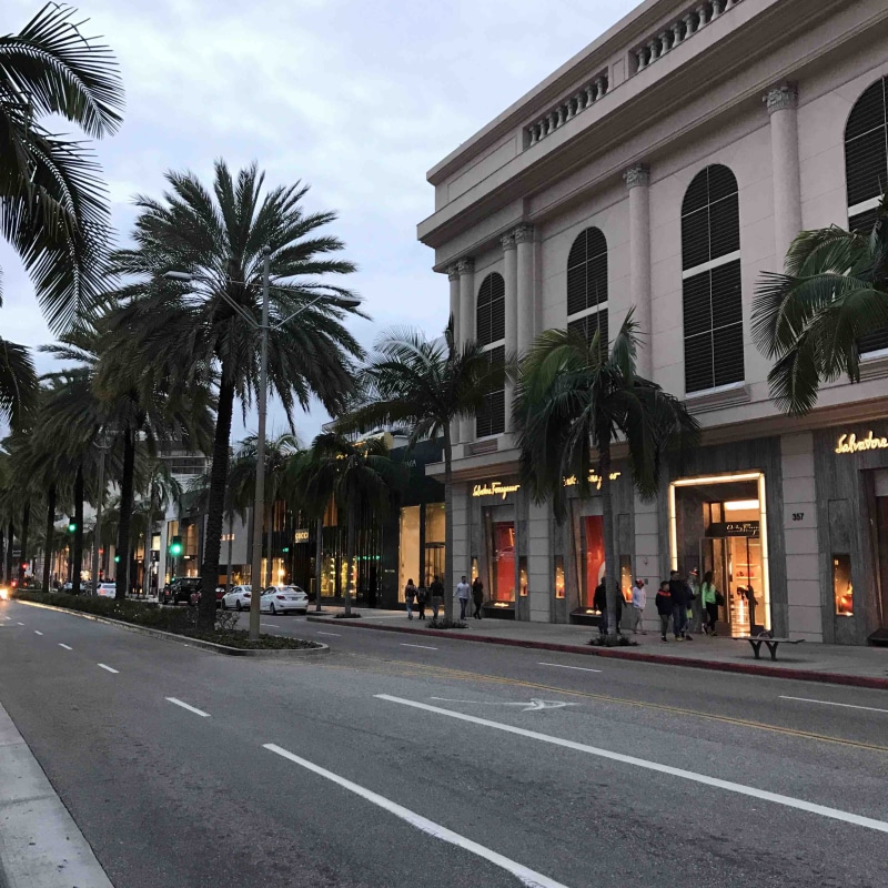 plant, incidental people, road marking, symbol, california, la, strip, street, tropical climate, built structure, nature, direction, architecture, building exterior
