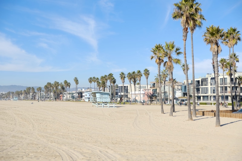 scenics - nature, venice, beach, city, cloud - sky, united states, sand, land, incidental people, sky, tropical climate, built structure, building exterior