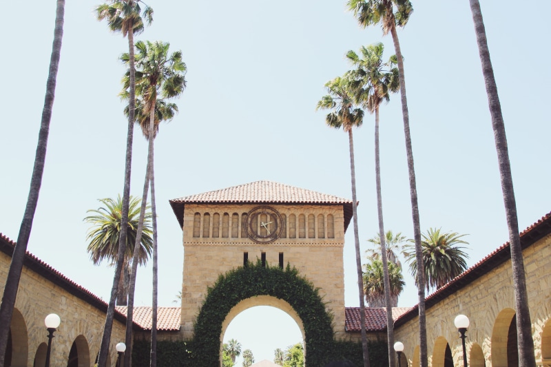 stanford, architecture, coconut palm tree, growth, tropical climate, no people, university, low angle view, tree, stanford university, outdoors, tree trunk