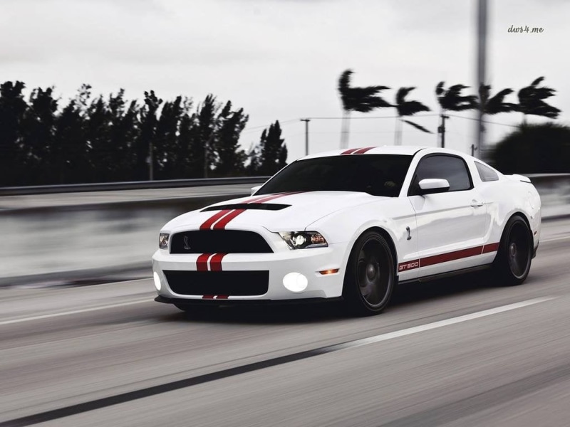 travel, on the move, wheel, outdoors, speed, nature, American cars, sky, muscle cars, car, transportation, tree, motion, red, Shelby GT500, day, road, street