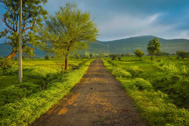 no people, beauty in nature, the way forward, tranquility, greenstreet, outdoors, tree, long, land, green color, sky, environment, forest, tranquil scene