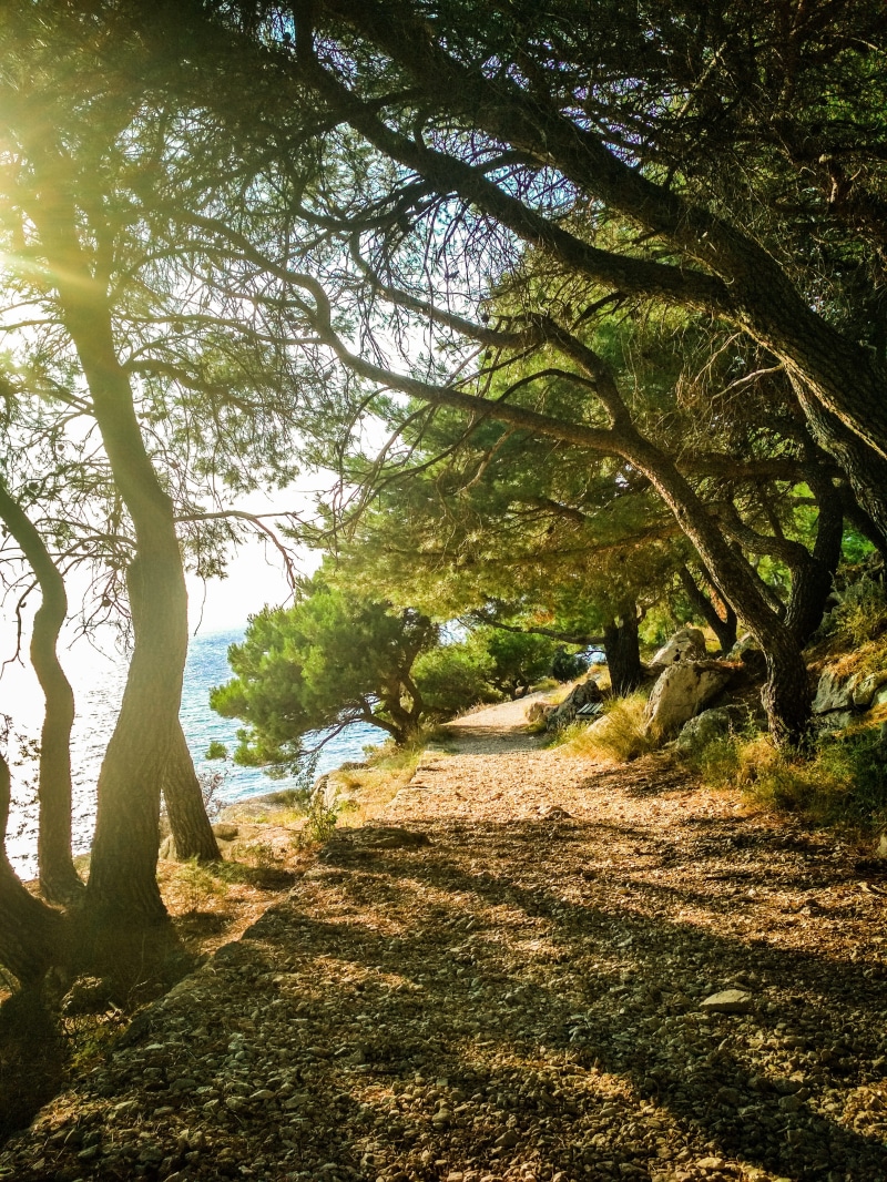 shadow, the way forward, land, travel, nature, xiaomi, photography, non-urban scene, makarska, footpath, daylight, tranquil scene, day, leafe, direction