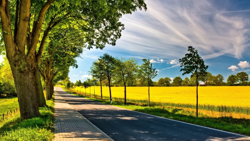 asphalt, nature, summer, no people, sky, road, land, pavements, sunlight, 1080P, concrete, direction, green, outdoors, grass, dappled sunlight, tree, tranquility
