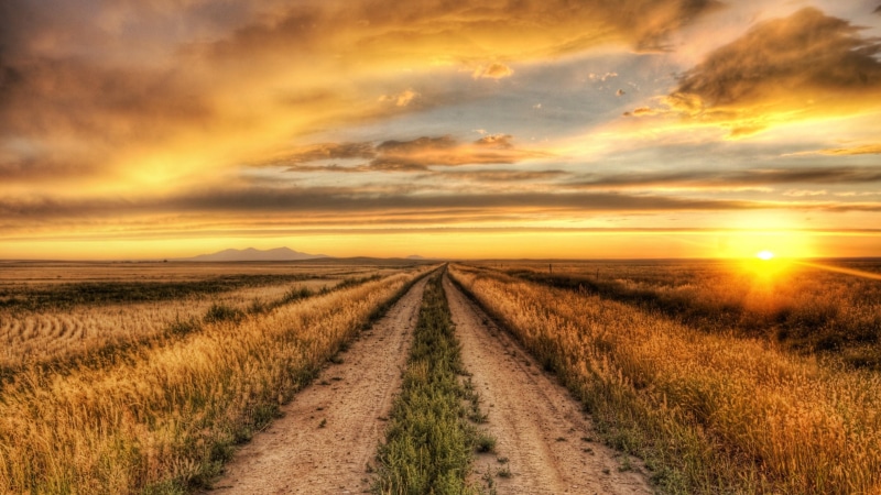 plant, sky, rural scene, tranquil scene, field, environment, lens flare, the way forward, beauty in nature, outdoors, sun, nature, landscape, no people