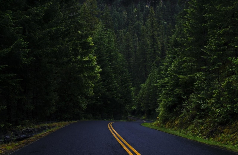 long, tree, diminishing perspective, no people, the way forward, beauty in nature, forest, country road, green color, road marking, nature, transportation