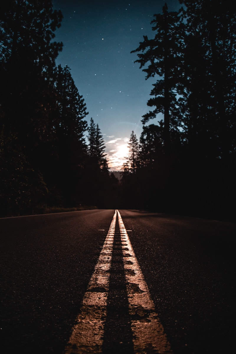 symbol, night, tranquility, outdoors, nature, marking, pine, plant, blue, trees, forest, beauty in nature, road, direction, transportation, star, atmosphere