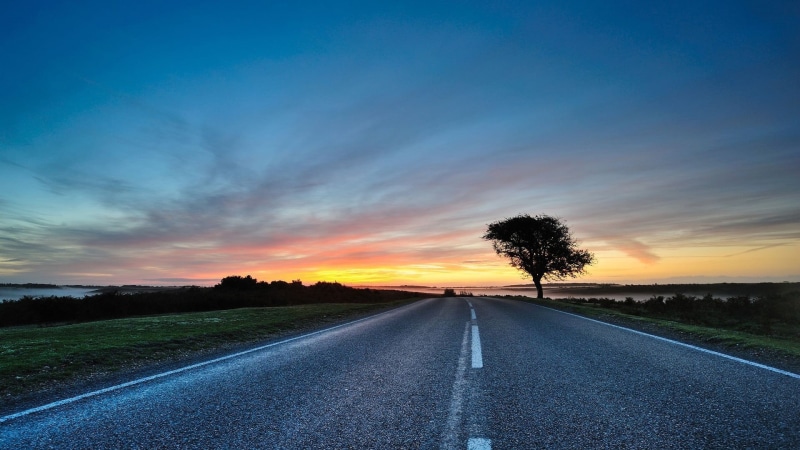 road, vanishing point, beauty in nature, sunlight, environment, sky, empty, beside, 1080P, cloud - sky, tranquility, street, diminishing perspective, trees