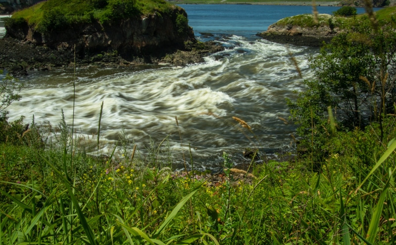 tranquility, tree, grass, tranquil scene, plant, motion, landscape, rock, scenics - nature, flowing water, growth, power in nature, green color, sea, tourism