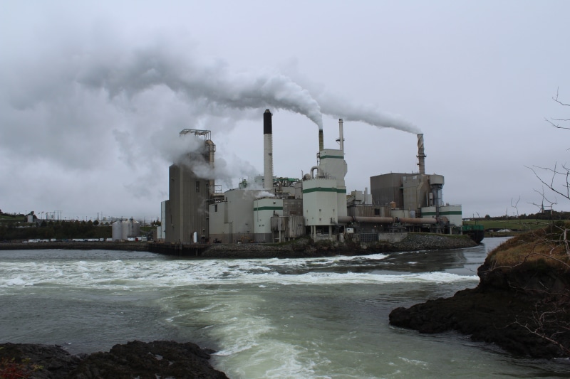 air pollution, fumes, factory, industry, ecosystem, power in nature, smoke - physical structure, 5K, motion, building exterior, emitting, sea, nova scotia