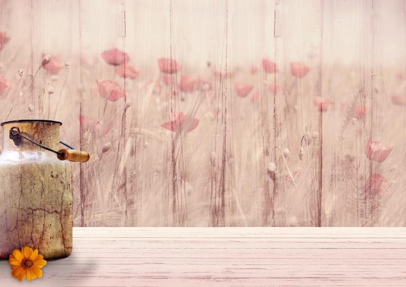greeting card, table, near, animal wildlife, wall, wood - material, greeting, textured, texture, nature, structure, milk, wall - building feature, indoors