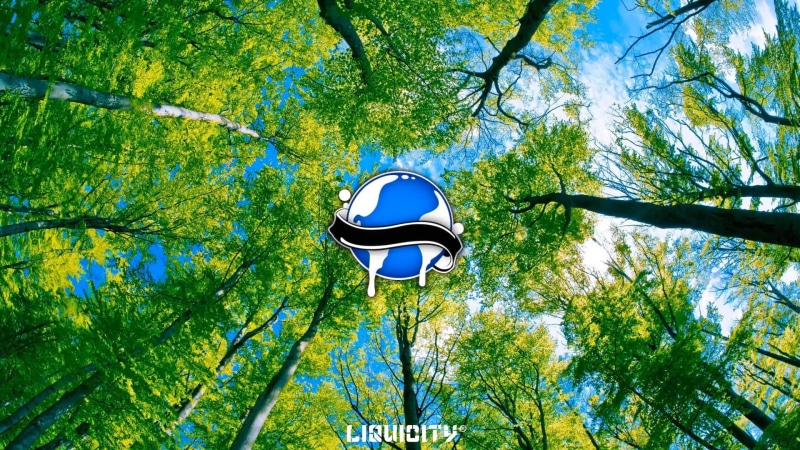 green color, tree, trunk, branch, nature, blue, sunlight, tree canopy, low angle view, sky, tree trunk, outdoors, directly below, security, no people, shape