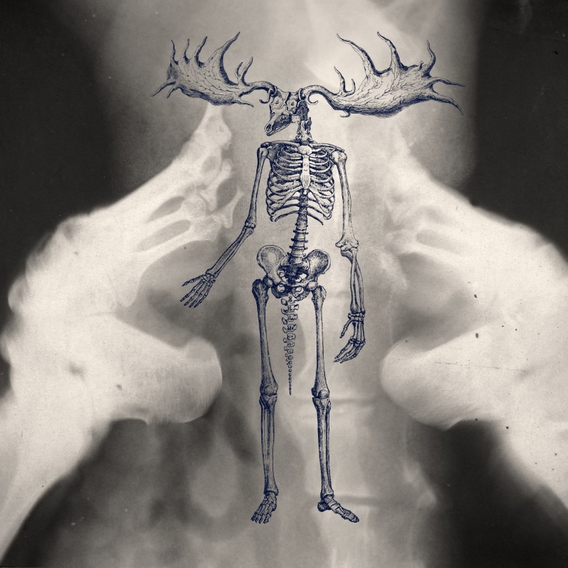 religion, body part, black background, human body part, cross, adult, skeleton, hand, human finger, indoors, midsection, finger, 1080P, studio shot, spirituality