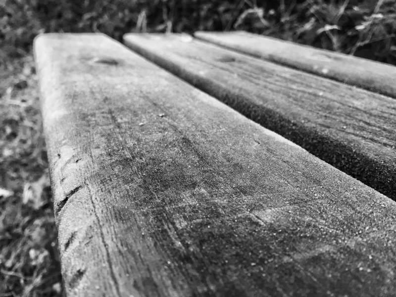 close-up, wood - material, black and white, selective focus, textured, wood, park, nature, ambient, park bench, 2K, rough, day, no people, plant, weathered