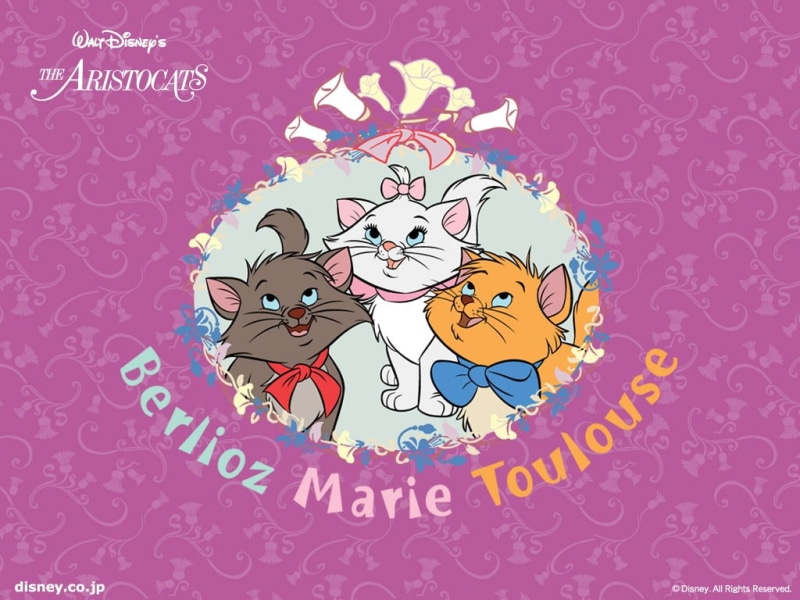 cat, Chip, alice, disney, hd, art, clara, daisy, entertainment, donald, 480P, marie, dale, aristocats