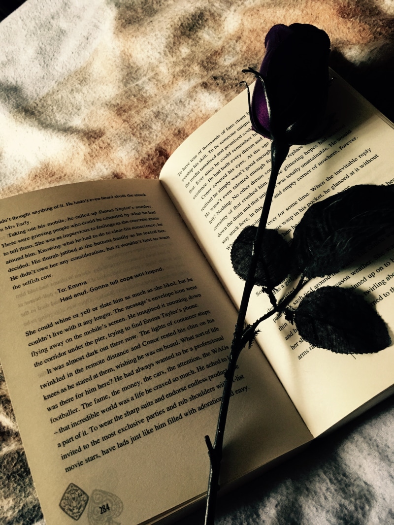 rose, ink, communication, dancing jax, close-up, high angle view, indoors, western script, table, pages, books, arts culture and entertainment, education